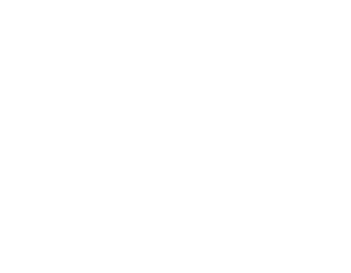 McPherson Brim CRT